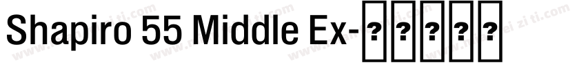 Shapiro 55 Middle Ex字体转换